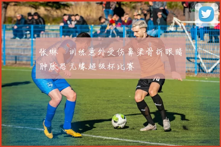 张琳芃训练意外受伤鼻梁骨折眼睛肿胀恐无缘超级杯比赛